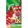 SEED RADISH RAINBOW MIX