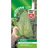 SEED SPINACH GIGANTE DINVERNO