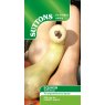 SEED SQUASH TAHITI MELON