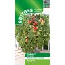 SEED TOMATO CHERRY FALLS SEED TOMATO CHERRY FALLS