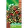 SEED TOMATO TUMBLING RED TOM
