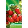 SEED TOMATO ROMELLO F1
