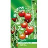 SEED TOMATO GARNET