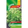 SUTTONS Suttons Speedy Veg Cress Greek Seeds
