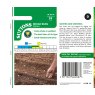 SUTTONS Suttons Broad Bean Statissa Seeds