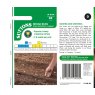 SUTTONS Suttons Broad Bean Giant Exhibition Longpod Seeds