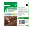 SUTTONS Suttons Climbing French Bean Colour Mix Seeds