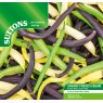 SEED DWARF FRENCH BEAN COLOUR