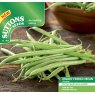 SEED DWARF FRENCH BEAN COMPASS