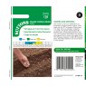 SUTTONS Suttons Dwarf French Bean Celine Seeds