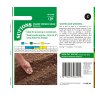 SUTTONS Suttons Dwarf French Bean Mascotte Seeds