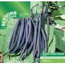 SEED DWARF FRENCH BEAN MISTIK