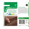SEED DWARF FRENCH BEAN MISTIK