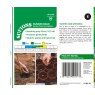 SEED RUNNER BEAN SEEDS HESTIA