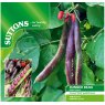 SEED RUNNER BEAN BLACK KNIGHT