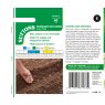 SEED EDAMAME SOYA BEAN GRN SHELL