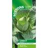 SUTTONS Suttons Cabbage Marques F1 Seeds