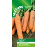 SUTTONS Carrot Volcano F1 Seeds