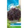 SEED HERB BASIL PURPLE BALL
