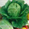 SEED COS LETTUCE GLOBUS