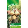 SUTTONS Suttons Onion Allium Cepa Galactus Seeds