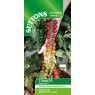 SUTTONS Suttons Tomato Rapunzel F1 Seeds