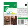 SUTTONS Suttons Scarlet Empire Runner Bean Seeds