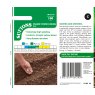 SUTTONS Suttons Dior Dwarf French Bean Seeds