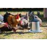 Galvanised Poultry Feeder