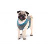 All For Paws All For Paws Chill Out Cooling Vest