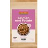 MOLEAVON Mole Avon Adult Grain Free Salmon & Potato