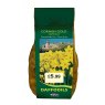 NARCISSI CORNISH GOLD 2KG