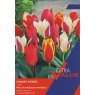 TULIP DWARF MIXED 12