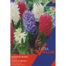 HYACINTH BEDDING MIXED 7