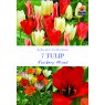 TULIP ROCKERY MIXED BULB