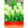 *TULIP PURISSIMA BULB