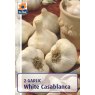 *GARLIC WHITE CASABLANCA BULB
