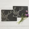 PLACE MAT 2PK SLATE STAG