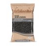 BLACK SUNFLOWER 12.55KG BERRY