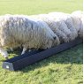 FEED TROUGH 2.8M PAXTON LF280