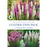 BULB LIATRIS TWIN PACK