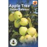 TREE APPLE GOLDEN DELICOUS