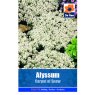 *SEED ALYSSUM CARPET OF SNOW