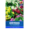 SEED ANTIRRHINUM TOM THUMB