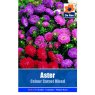 SEED ASTER COLOUR CARPET MIX