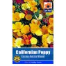 *SEED CALIFORNIAN POPPY ESCH