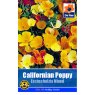 SEED CALIFORNIAN POPPY ESCH