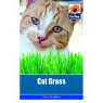 SEED CAT GRASS