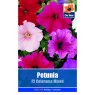 *SEED PETUNIA F2 COLORAMA MIX