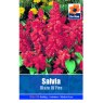 *SEED SALVIA BLAZE OF FIRE